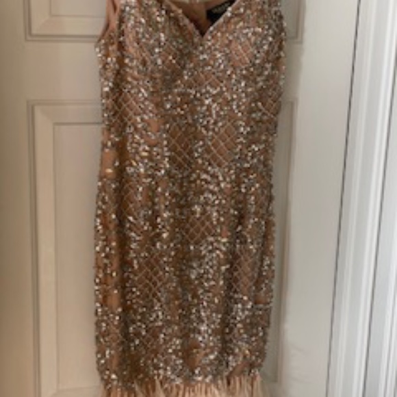 Terani Couture Silver and Nude Midi Dress - Picture 3 of 6